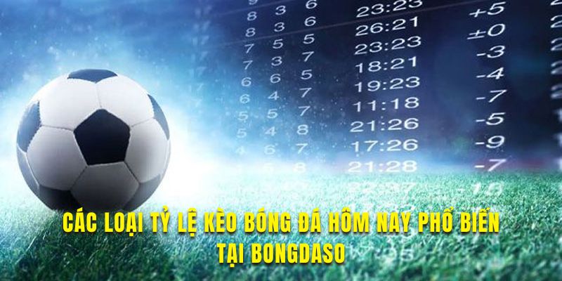 Các kèo tỷ lệ bóng đá tại nền tảng cho bạn khám phá