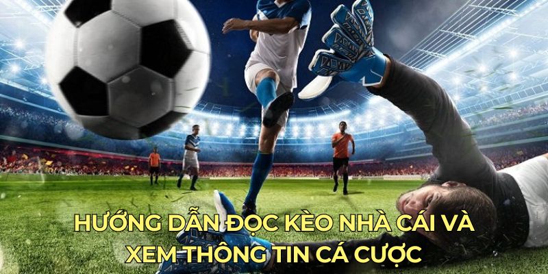 Hướng dẫn đọc kèo nhà cái và xem thông tin cá cược