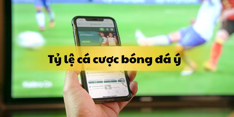 Khái niệm cơ bản về tỷ lệ cá cược bóng đá ý