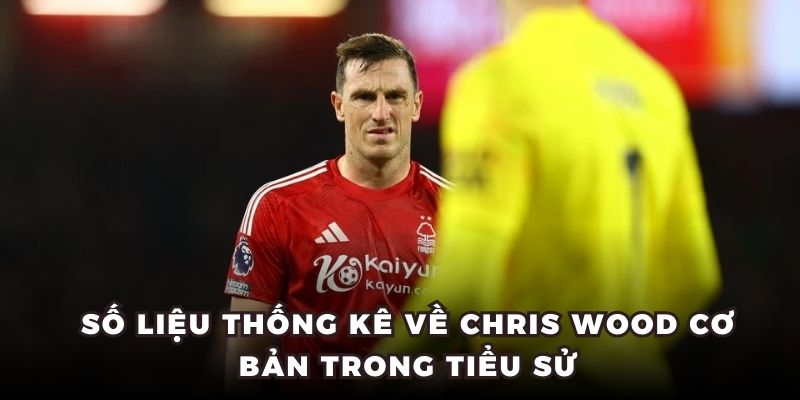Số liệu thống kê về Chris Wood cơ bản trong tiểu sử